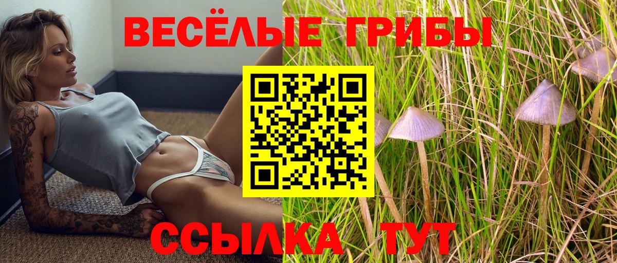Железногорск  Псилоцибиновые грибы мицелий  Вход с VPN 