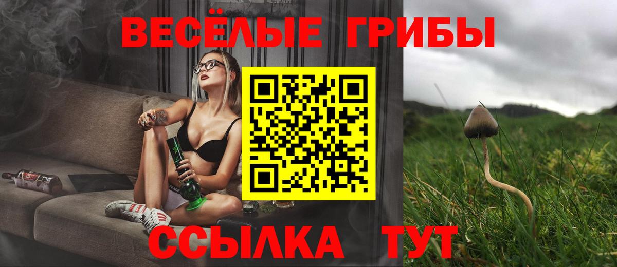 Галлюциногенные грибы MAGIC MUSHROOMS Железногорск
